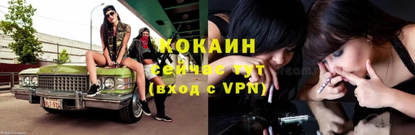 трава Гусь-Хрустальный