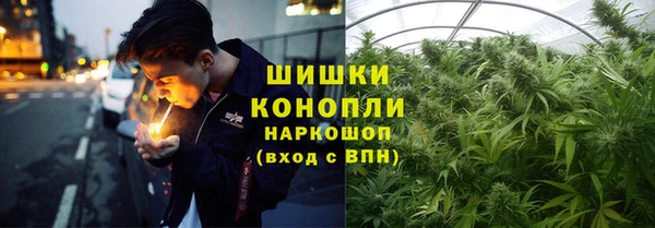 трава Гусь-Хрустальный